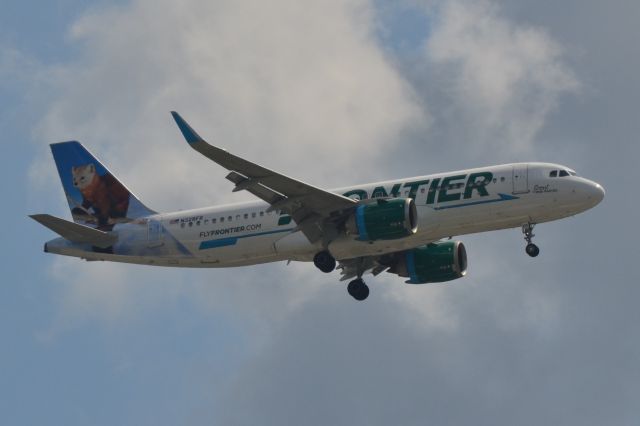 Airbus A320 (N328FR) - "Scout the Pine Marten" on final at KCHS - 6/15/18  