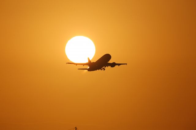 Airbus A319 (N312NV)