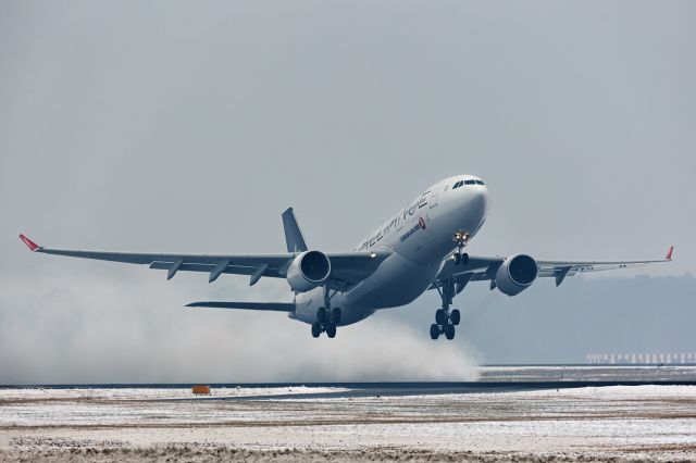 Airbus A330-200 (TC-LNB)