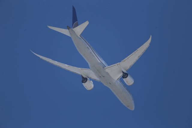 Boeing 787-9 Dreamliner (N38950)