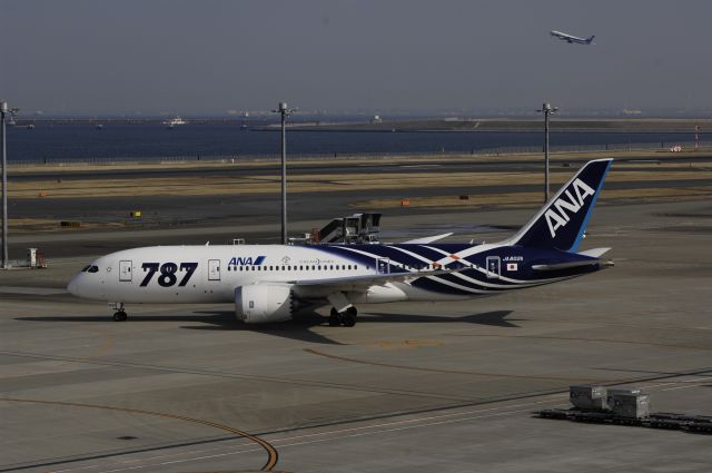 Boeing 787-8 (JA802A) - Taxi at Haneda Intl Airport on 2012/02/24