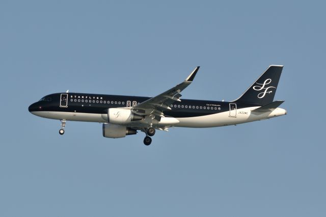 Airbus A320 (JA22MC) - 2014/1/11