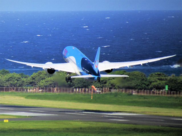 Boeing 787-8 (G-TUIG)