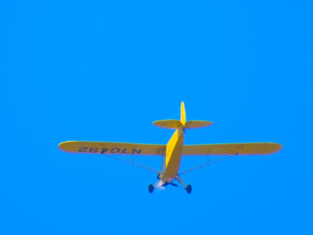 Piper L-21 Super Cub (N70492)