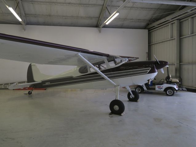 Cessna 170 (N3167B) - 10 March 2016.