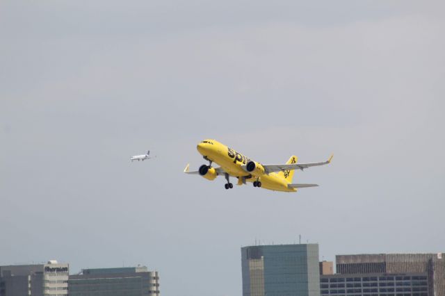 Airbus A320 (N906NK)