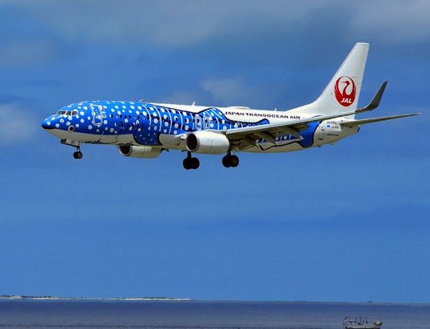 Boeing 737-800 (JA05RK) - Blue Whale Shark