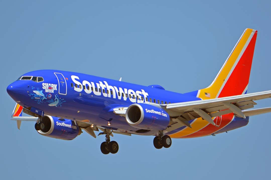 Boeing 737-700 (N961WN) - Southwest Boeing 737-7H4(W) N961WN Shark Week Mako at Phoenix Sky Harbor on August 19, 2018.