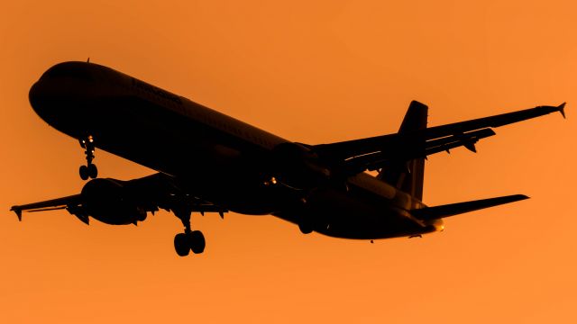Airbus A321 (EI-IXJ)