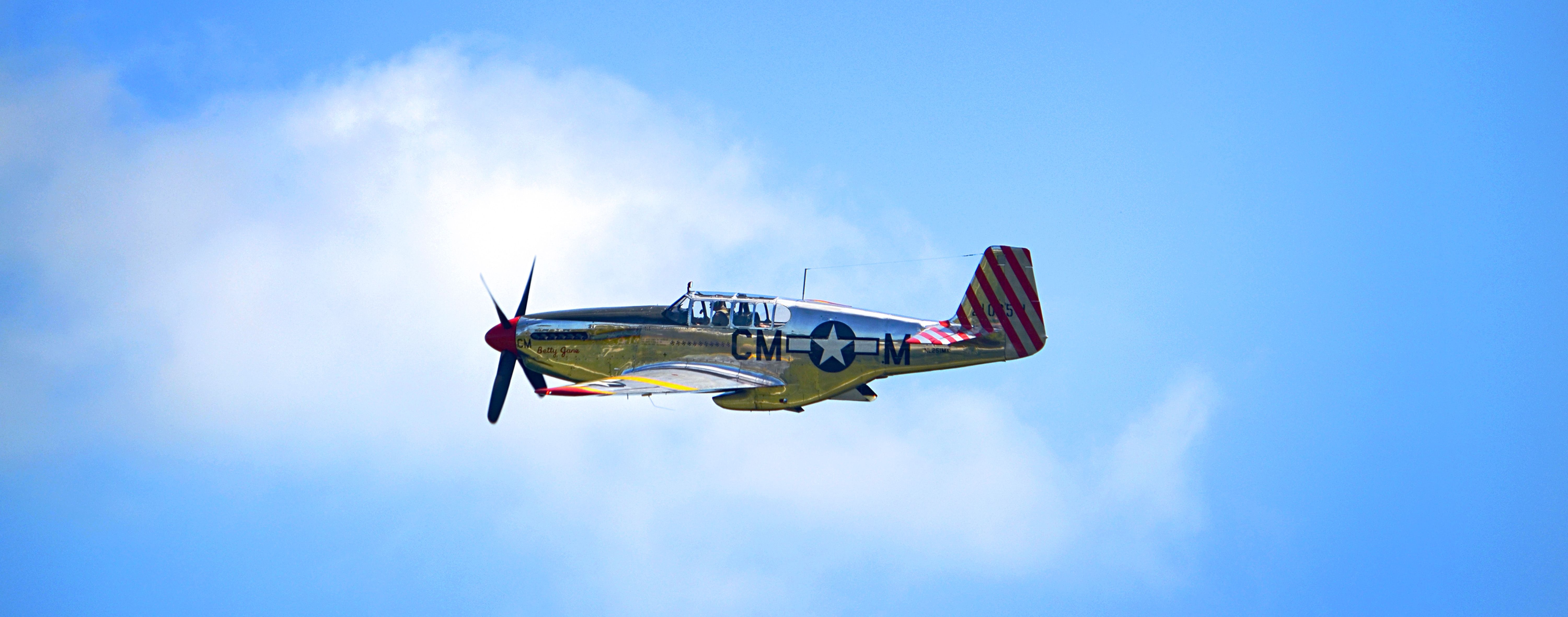 North American P-51 Mustang (N251MX)