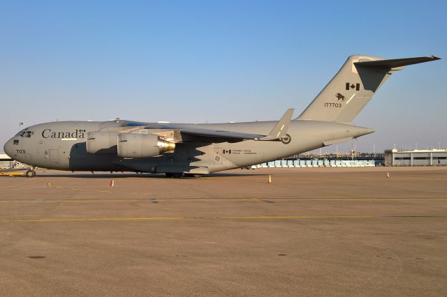 Boeing Globemaster III (CAF177703)