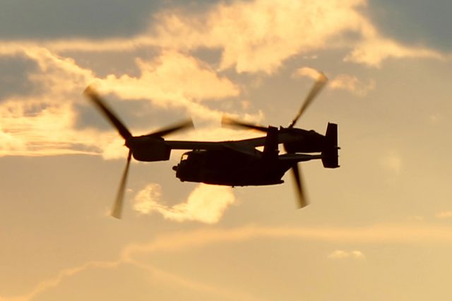 — — - A surprise catch of this USAF CV-22B Osprey (12-0066, c/n D1047) doing low passes while waiting for my flight in Amarillo, TX on 22 Oct 2015.