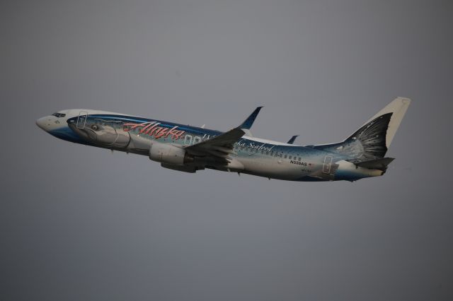 Boeing 737-800 (N559AS)