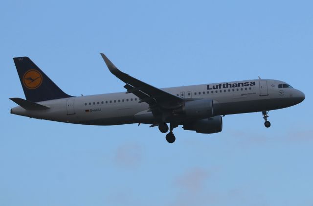 Airbus A320 (D-AIUJ)