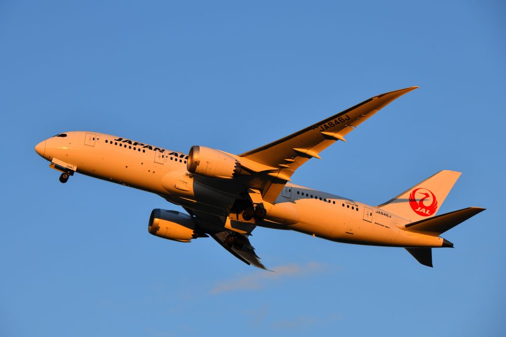 Boeing 787-8 (JA846J) - 2022.11.5br /JL126 ITM→HND
