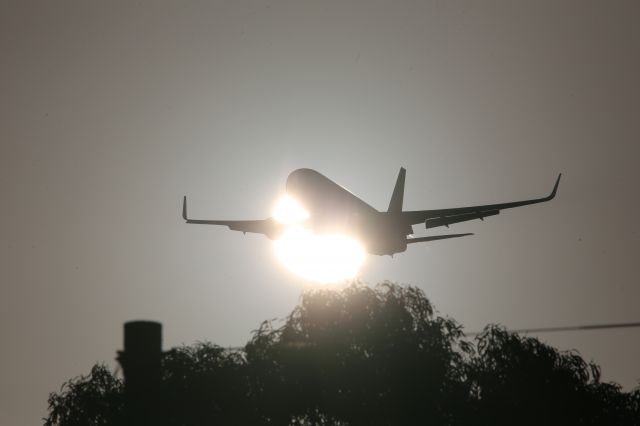 BOEING 767-300 (N739DH)