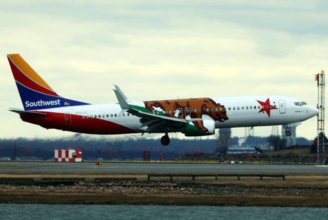 Boeing 737-800 (N8653A)