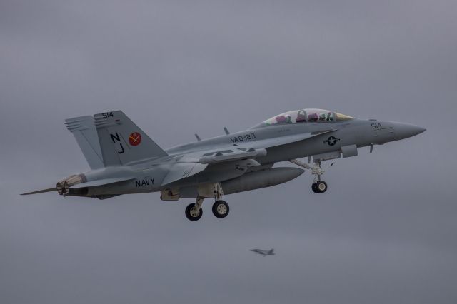 McDonnell Douglas FA-18 Hornet (16-8390)