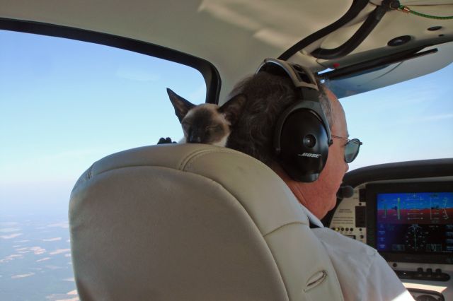 Cirrus SR-22 (N449SR) - Thats Ming (cat) on the flight deck with me on a recent flight.