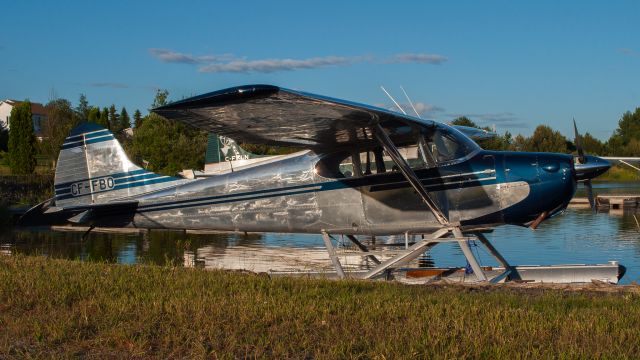 Cessna 170 (C-FFBO)