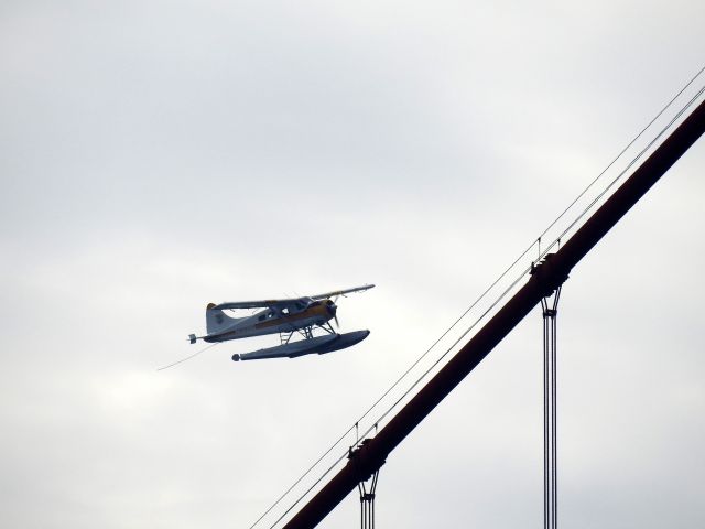 De Havilland Canada DHC-2 Mk1 Beaver (N5220G)