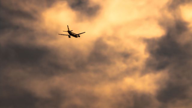 Airbus A300F4-600 (TC-MCG)