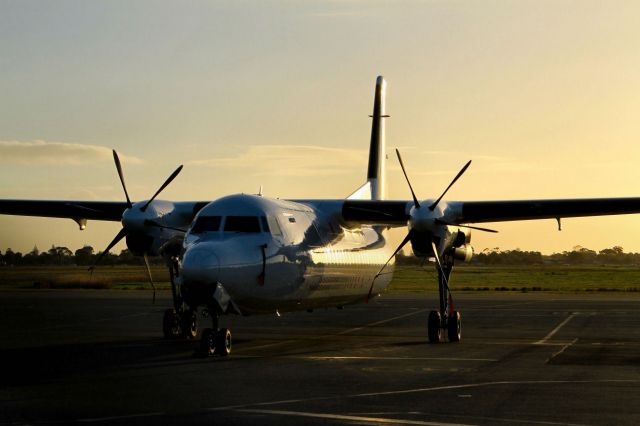 Fokker Maritime Enforcer (OO-VLV) - Former VLM Citiflyer Fokker 50 OO-VLV sits at YPAD on August 6th 2012, awaiting attention, reregistration and a repaint into Alliance Airlines colors. This aircraft now fly's in Australia as VH-FKO