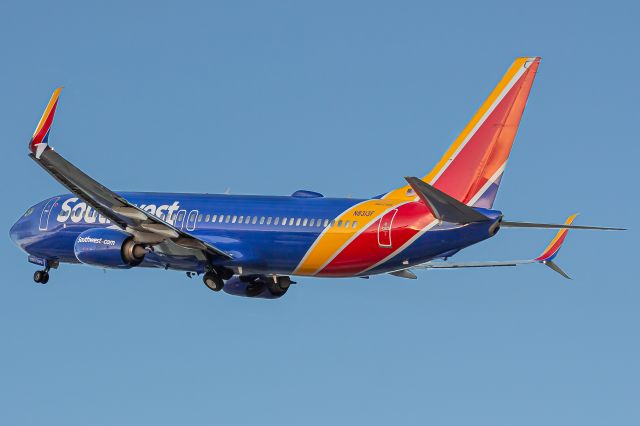 Boeing 737-800 (N8313F)