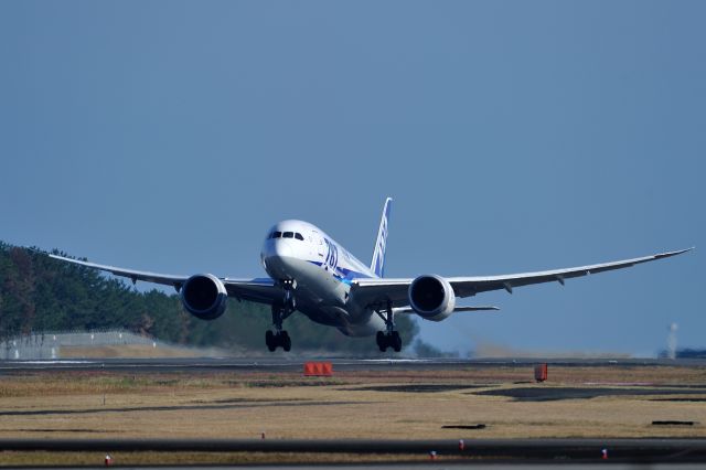 Boeing 787-8 (JA817A)