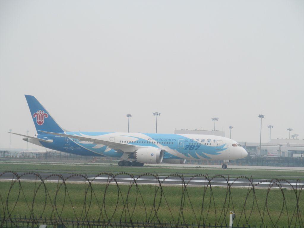 Boeing 787-8 (B-2725) - China Southern Airlines CZ3103 landing in Beijing runway 18R. Best Shot of my life!!! And I found a new plane spotting location, though it is only accessible by a trek through a nearby village and field!