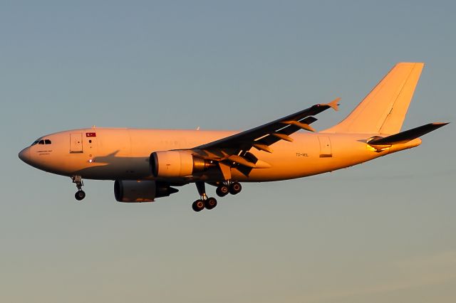 Airbus A310 (TC-VEL) - yellow morning sun