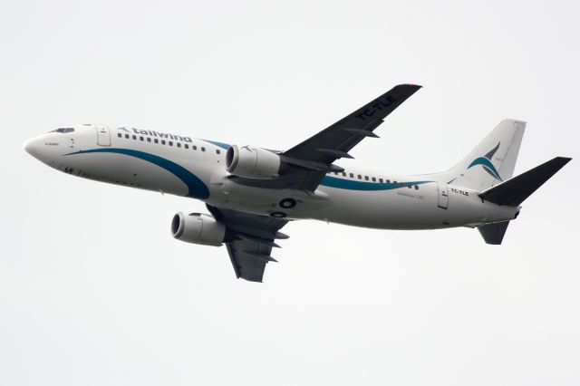 Airbus A321 (TC-TLE)