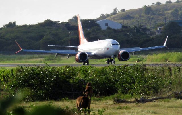 Boeing 737 MAX 8 (C-FYXC)