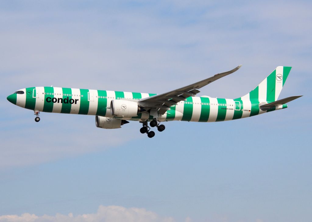 Airbus A330-900 (D-ANRA)