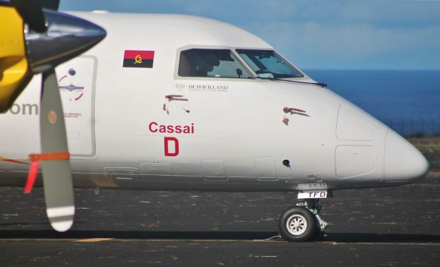 D2-TFD — - Santa Maria Island International Airport - LPAZ, Azores. 2021/09/07.