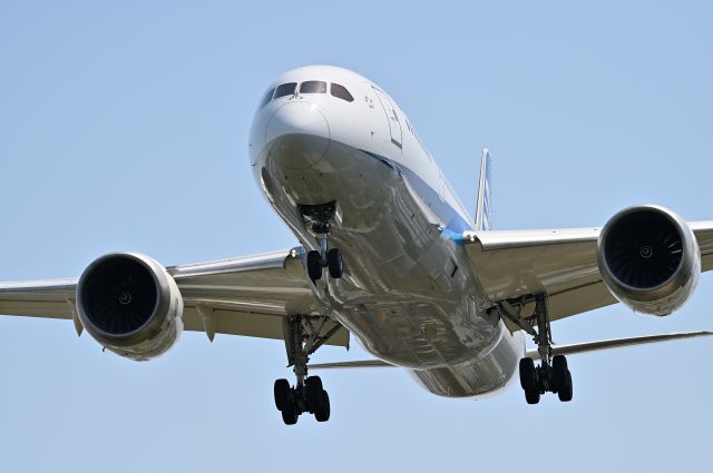 Boeing 787-8 (JA831A) - 01.Apr.2023br /Final landing approach to RWY34L !! Taken at the Senri River embankment !!