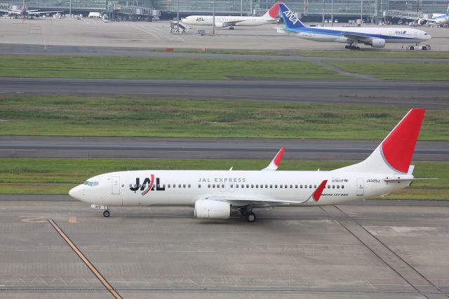 Boeing 737-800 (JA325J)