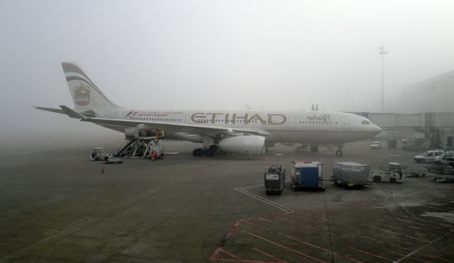 Airbus A330-200 (A6-EYG)