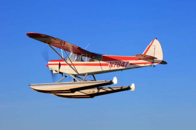 Piper L-21 Super Cub (N7847)