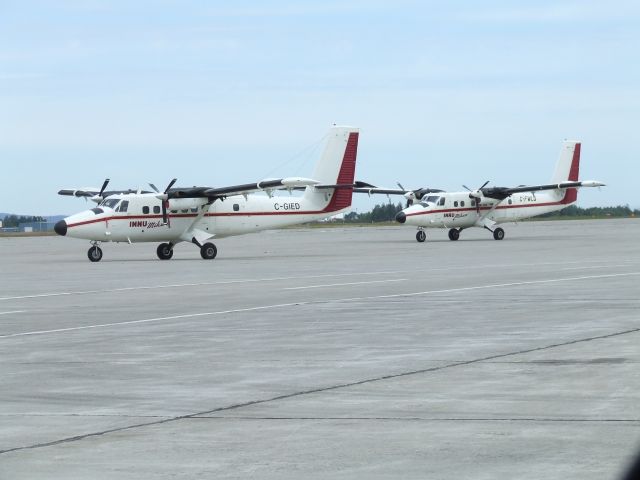 De Havilland Canada Twin Otter (C-GIED) - Pair twin Otters parked at Goose Bay, Labrador