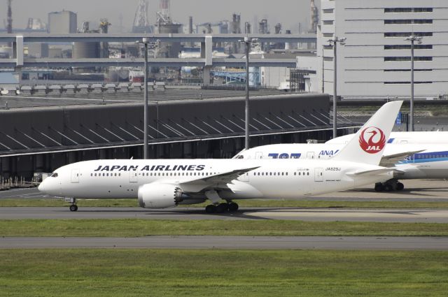 Boeing 787-8 (JA829J) - Taxing at Haneda Intl Airport on 2013/07/20