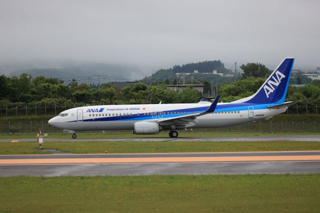 Boeing 737-800 (JA82AN) - July 10th 2021:HKD-HND.