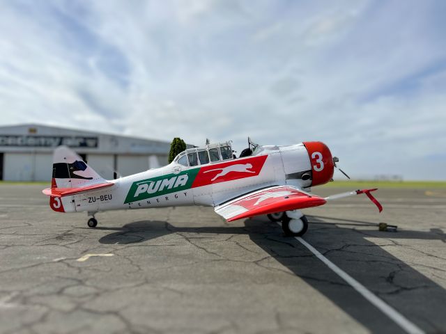 North American T-6 Texan (ZU-BEU) - 22 JAN 2022