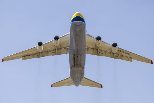 Antonov An-12 (UR-82008)