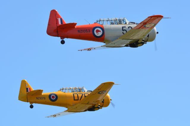 North American T-6 Texan (MULTIPLE) - North American T6 Harvards shortly after take off at Tauranga Air Show 23 January 2016