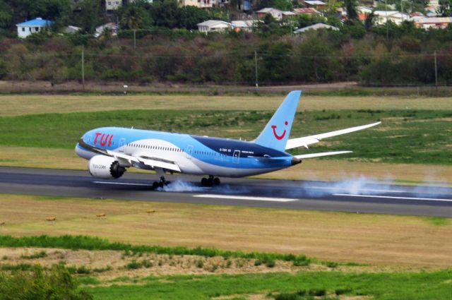 Boeing 737-800 (G-TUIA)