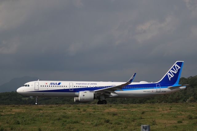 Airbus A321neo (JA139A) - August 18th 2019:HKD-HND.