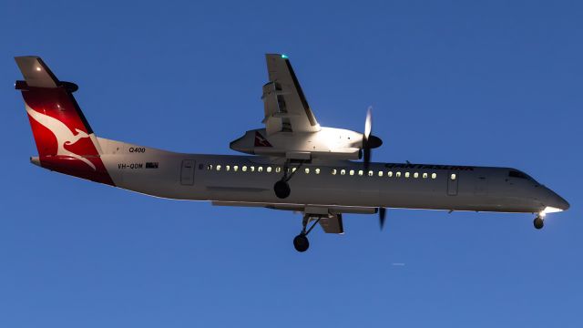 — — - QANTAS Link, DH8D, approaches runway 01.