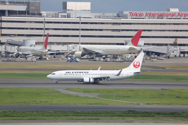 Boeing 737-800 (JA346J)