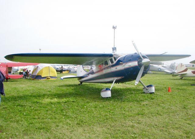 Cessna LC-126 (N9855A) - At AirVenture. 1950 CESSNA 195A